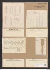 Denticula elegans Kütz. (de-Toni-Nr.: Genus 49, Species 2193) Zeichnungen Sammlung Grunow Nr. 4592 (NHMW-BOT-W0372609)